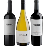 Box 3 Grf Felinos