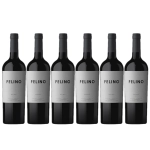 Box 6 Grf Felino Malbec