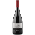 San Pedro 1865 Selected Vienyards Syrah